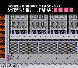 Ninja Gaiden Screen Shot 2